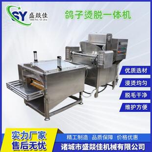 特惠鸽子烫脱一体机自动宰鸽子设备乳鸽屠宰设备专业生产厂家