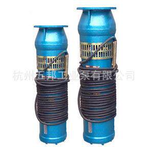 供应喷泉专用泵 QSP65-10-3喷泉专用泵