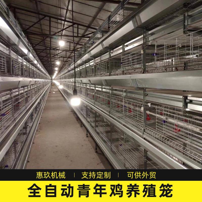 青年鸡H型多层叠鸡笼自动清粪供水养殖场鸡舍大型用养殖设备鸡笼