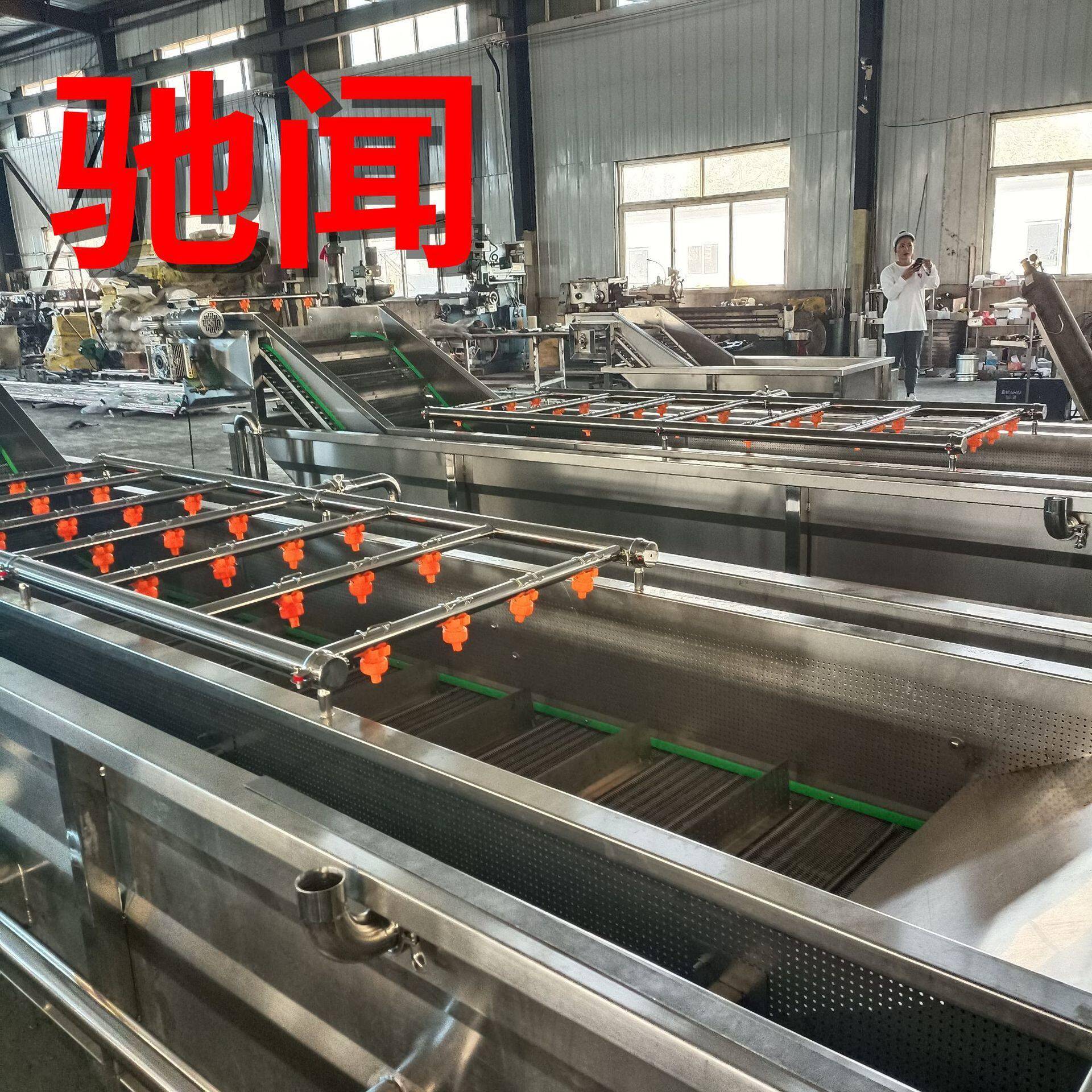 全自动辣椒气泡清洗机连续式青红椒清洗机彩椒臭氧气泡清洗机