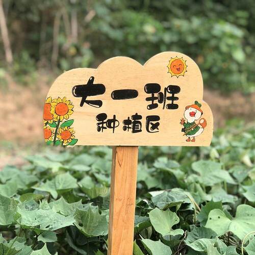 户外实木插地牌幼儿园菜地花草种植园艺植物标签牌告示指示标识牌