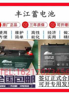 FULLRIVER丰江蓄电池HGL100-12/12V7a4a24a38a40a55a65a100a150ah