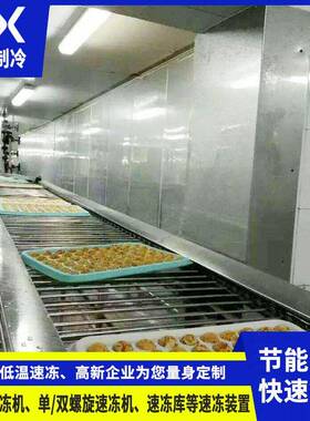 网带式速冻机100KG/h小型速冻机月饼包子饺子汤圆低温急冻设备