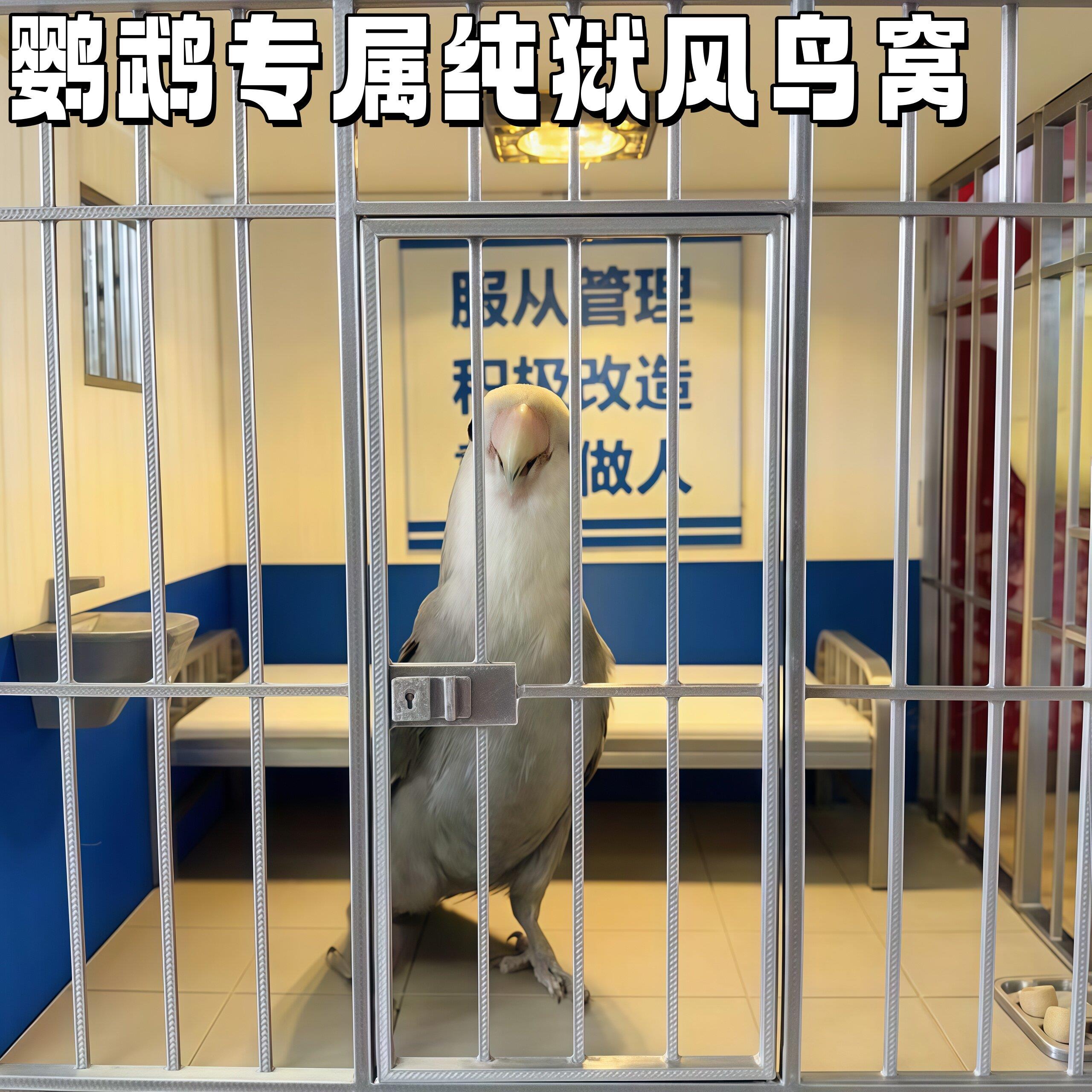 鹦鹉专属纯狱风小窝!迷你监狱造型鸟笼小宠通用搞怪看守所饲养笼