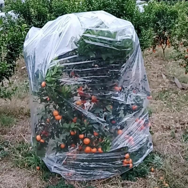 塑料膜植物植物防冻保温塑料柜