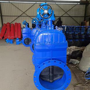 大口闸阀Z45XZ545XZ945X球磨铸铁法兰闸阀DN800DN1000