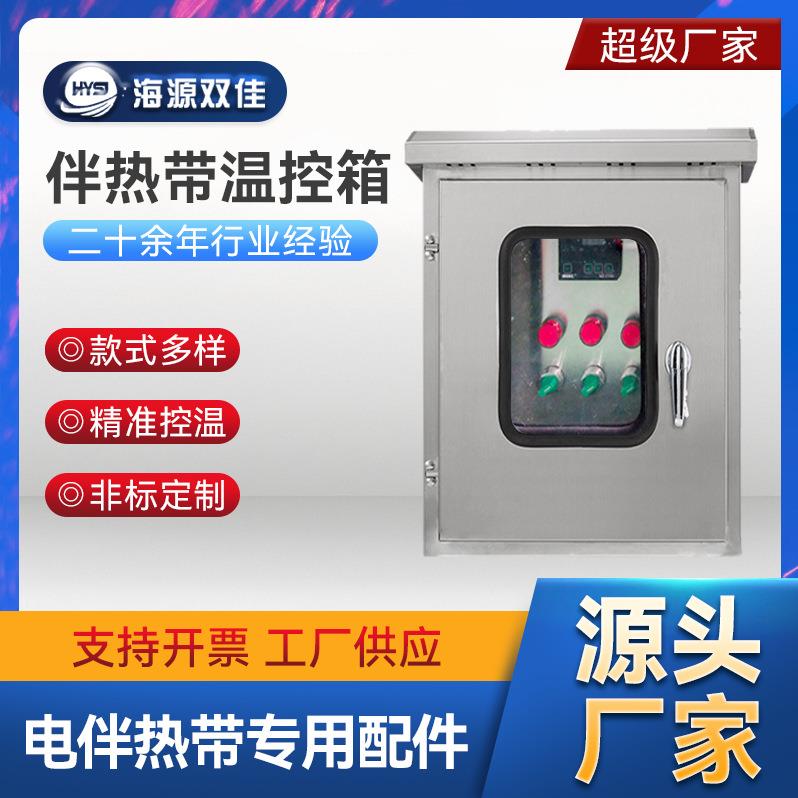 电伴热带温控箱 防水双层门电热带控制柜 多表多回路可选