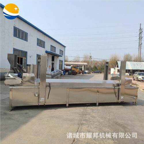 3001500型油炸片生产线薯 工厂香蕉片全油炸设备 自动小酥鱼油炸0