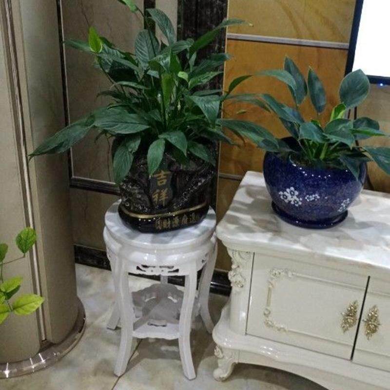 欧式白鱼色实木花架厅客用花台木质吊家兰圆形落地盆景01花盆缸