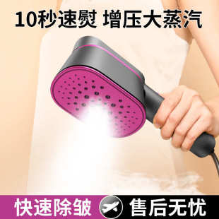 干湿 熨烫挂家用机两用跨境烫手持喷雾蒸汽电熨斗小型斗迷你便携式