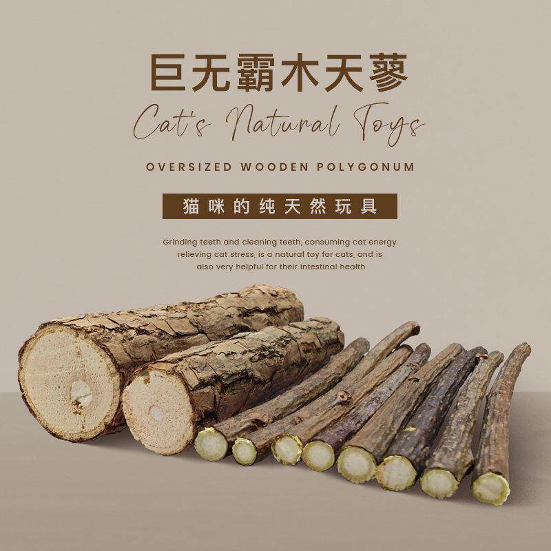 超大木天蓼巨无霸猫咪磨牙棒成幼猫洁齿棒棒糖自嗨解闷猫草猫零食