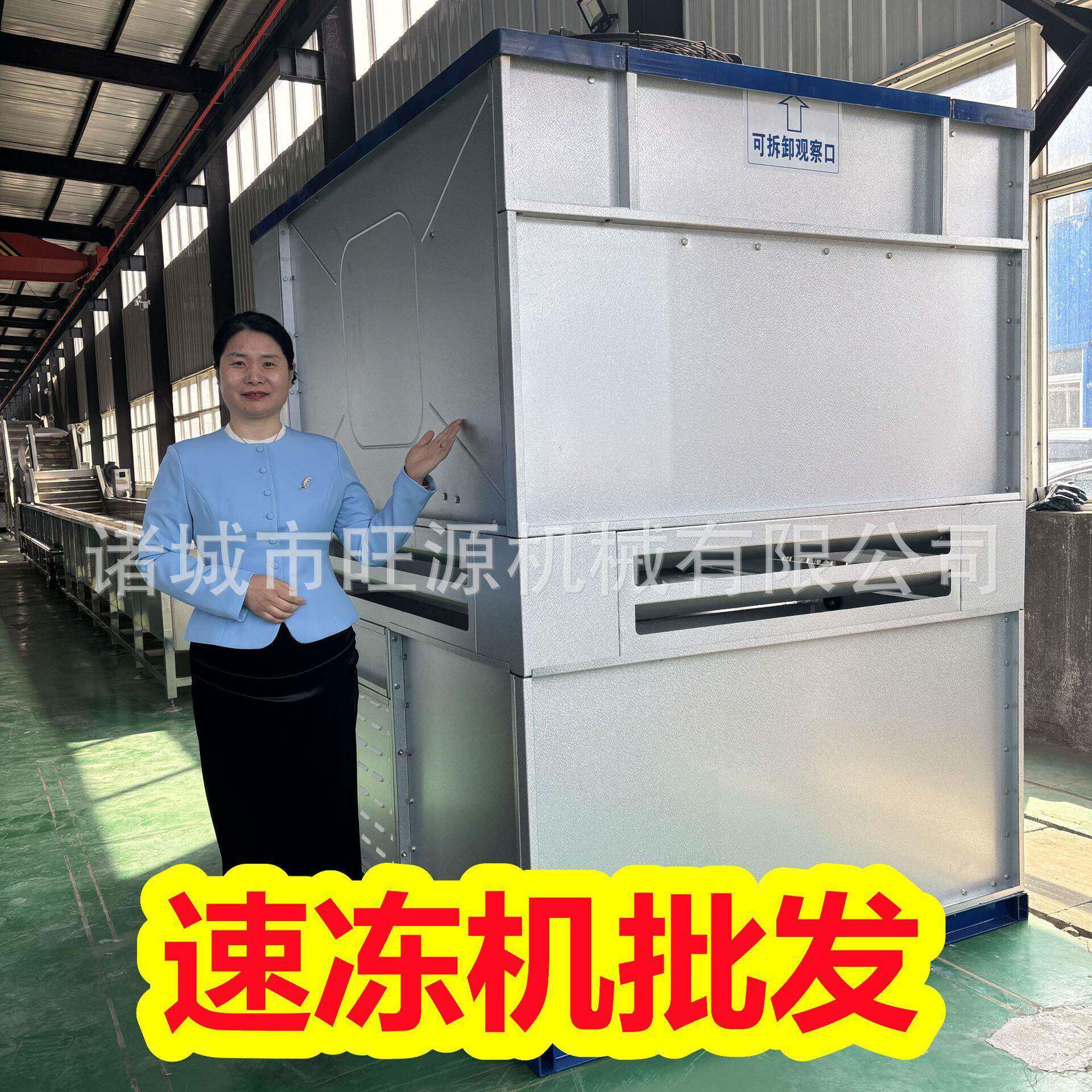 隧道式树莓速冻机 蓝莓流态化冷冻线 提子冷冻加工生产设备