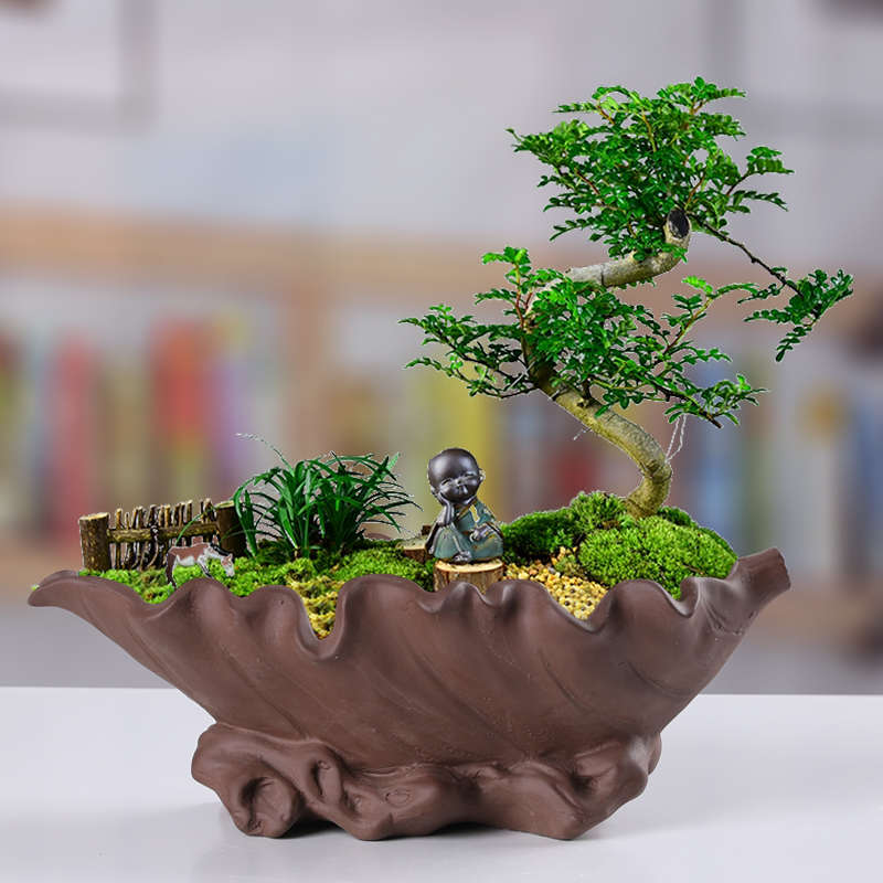 紫砂花盆陶瓷大号创意家用多肉老桩文竹兰花月季榕树植物盆景清仓