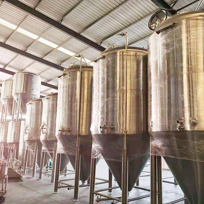 济南正麦供应家用酿酒设备 小型精酿啤酒设备 发酵罐 一体机