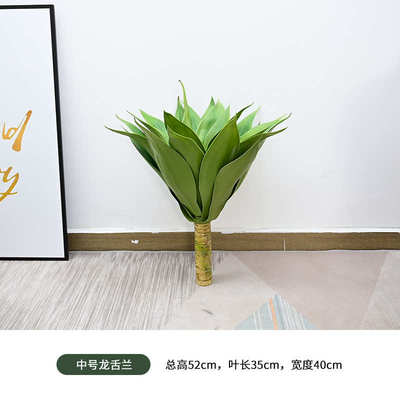 北欧树龙舌兰小造景假多植龙舌兰绿仿真装饰肉沙漠植物热带植物假