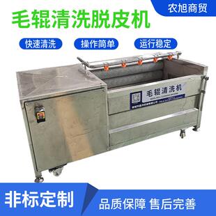 毛辊清洗机 多功能萝卜土豆去泥去皮机 全自动芋头大姜清洗设备