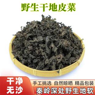 地皮菜地软菜野生免洗陕西地衣菜纯野生野菜秦岭大山深处