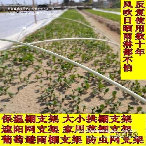 1000根拱棚大小支架保温棚菜棚花棚玻璃纤维杆蔬菜拱竿农用麦太保