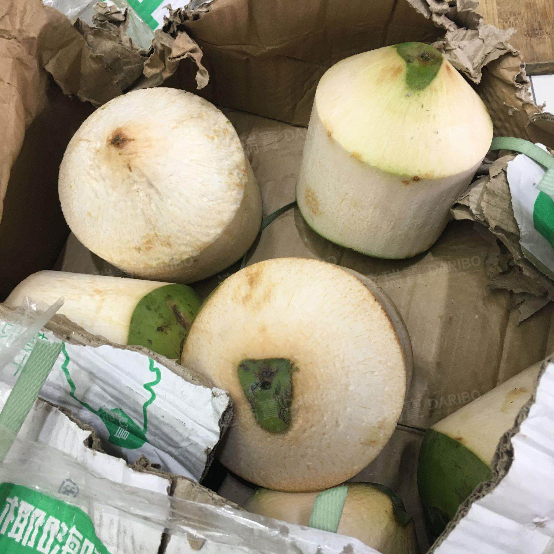 W电动青椰子去皮机 东南亚柬埔寨青椰削皮机 大产量椰子削皮机器