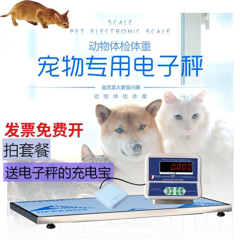 不锈钢宠物电子秤动物医院地磅秤金百龙无线连接动物体重秤