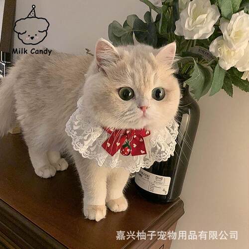 蝴蝶结薄荷可爱仙女猫咪口水肩带