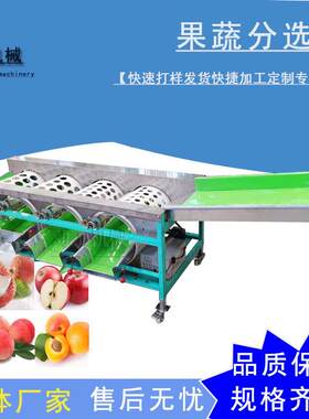 皮带式红灯樱桃拣果机商用阳荷姜分拣机大型南国梨分大小果机