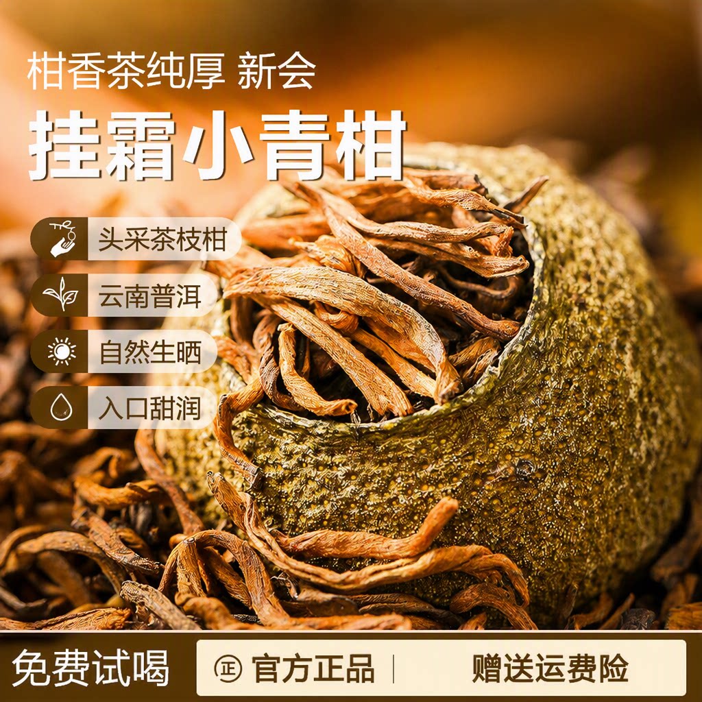 新会小青柑普洱茶熟茶头采挂霜宫廷普洱柑普茶云南古树茶枝柑罐装