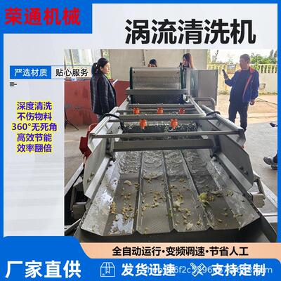 叶类蔬菜涡流清洗中房净菜加工洗菜机草莓蓝莓气泡清洗机优惠