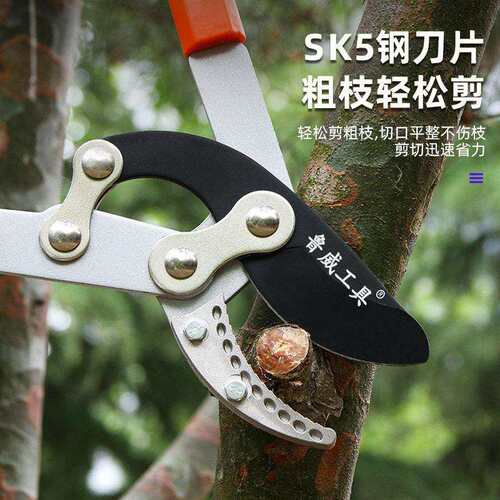 鲁威工具枝剪园林果树修枝剪园艺粗枝剪园林绿化工具伸缩果枝剪