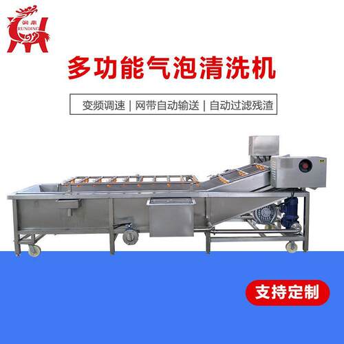 直供桑葚气泡清洗机小青柑喷淋去泥机水果罐头生产配套设备