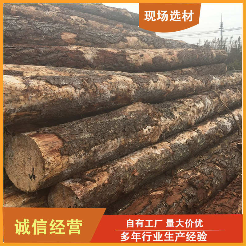 澳松原木木板批发河道护岸防汛松木桩工地打桩木澳松防腐实木木方