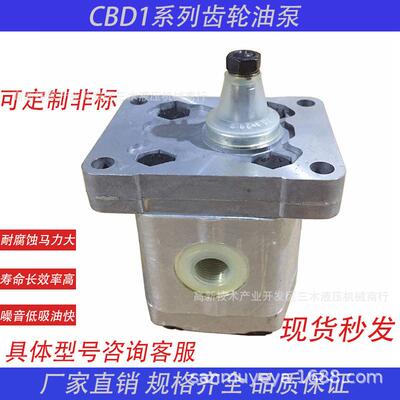 液压齿轮泵油泵CBD1-F201.1/202.1/203.7/204.8/205.8电动单元泵