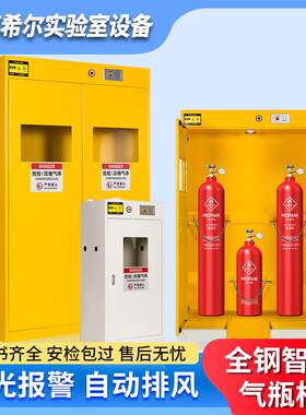 实验室全钢气体防爆柜双瓶气瓶柜煤气罐氧气乙炔钢瓶储存柜气瓶柜