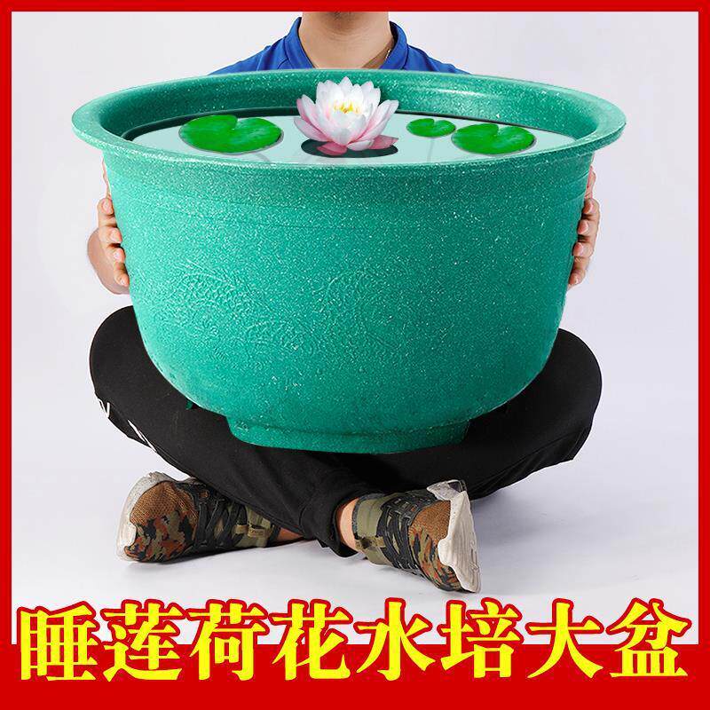 睡莲盆缸塑料特大花盆莲花盆荷花碗莲家用无孔水培专用庭院荷花盆