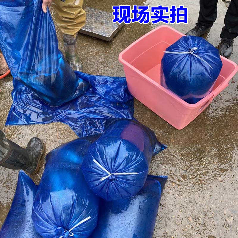 水族氧气袋装鱼大号小口鱼苗氧气打包袋水产市场运输装活鱼塑料