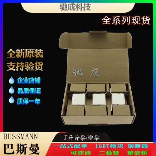 巴斯曼170M0270 170M0271 170M0272 厂家直供零售 高速熔断器