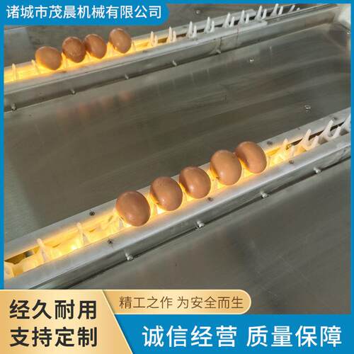 咸鸭蛋清洗设备洗鸭蛋成套机器每小时5000枚鸡蛋清洗机