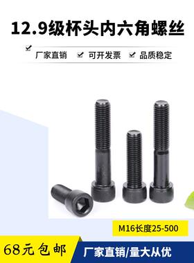 12.9级内六角内六角螺钉M16X90X95X100X105X110X115X120X125圆头