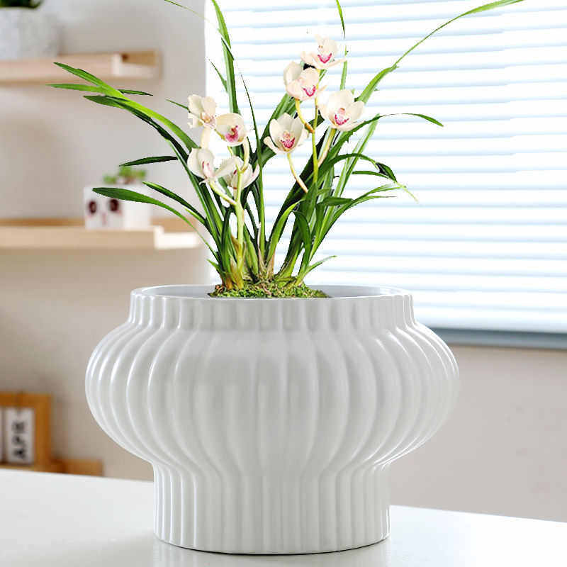 径陶瓷花盆大号家用肉萝造型蝴蝶兰吊兰绿花盆个性大口超多灯笼,鲜花速递/花卉仿真/绿植园艺,花盆,淘宝优惠券,粉丝福利购,淘宝优惠卷