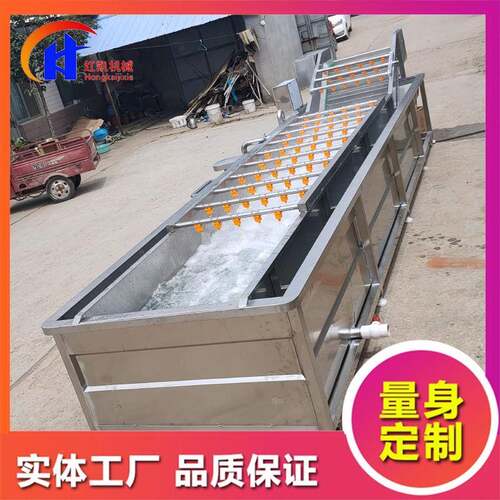 供应红辣椒清洗机设备全自动果蔬清洗机设备芦荟气泡清洗机