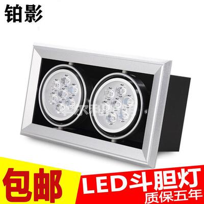 斗胆灯LED射灯格栅灯单头双头三头12W24WLED天花灯悬吊式天花板豆