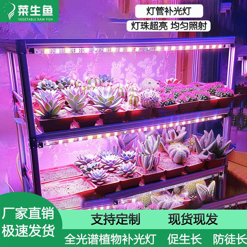 多肉补光灯专用上色模拟太阳光家用led植物生长灯排室内防徒长
