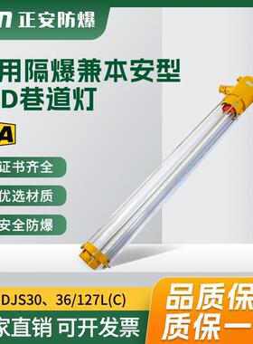正安矿用LED巷道灯煤矿井下用DJS30隔爆兼本安型LED照明灯长条形