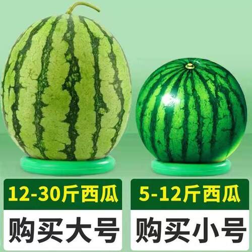幼儿园无声体操环球托儿童早操器材道具晨操
