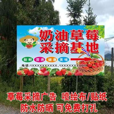 草莓园立式牌广告牌 落地草莓采摘海报贴纸 户外宣传喷绘布定制