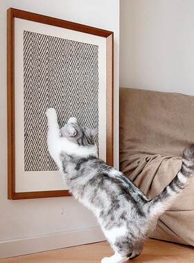 装饰画猫咪剑麻宠物宠物智能玩具