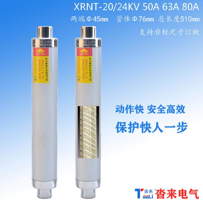 高压限流熔断器XRNT20KV24千伏20A31.5A63A100安熔芯变压器防爆