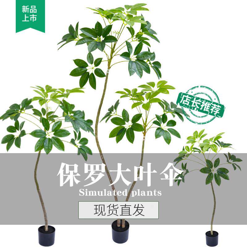 仿真保罗大叶大伞植高绿端轻奢WJT室内客装饰仿生厅假植物型落地