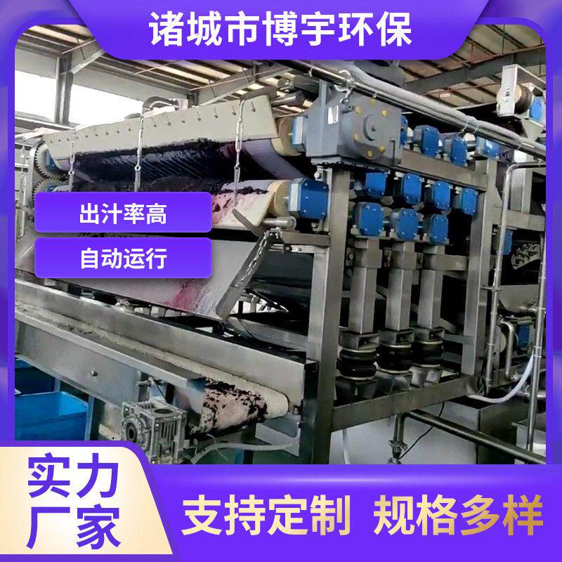 定制葡萄榨汁机 大型工业水果榨汁机 葡萄酒厂果酒榨汁设备