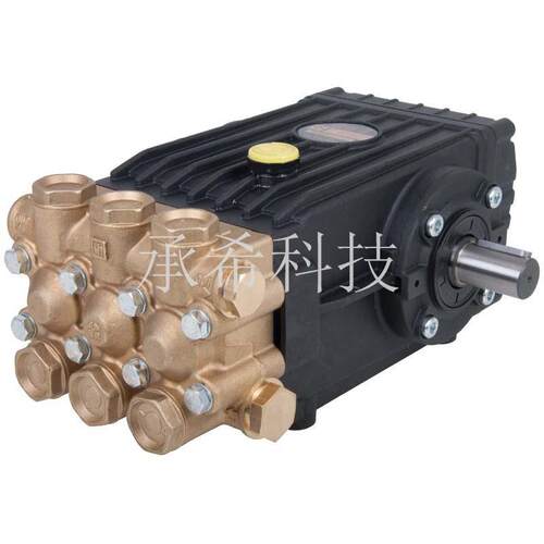 意大利 高压柱塞泵 INTERPUMP 英特 --WS102,WS152,WS202